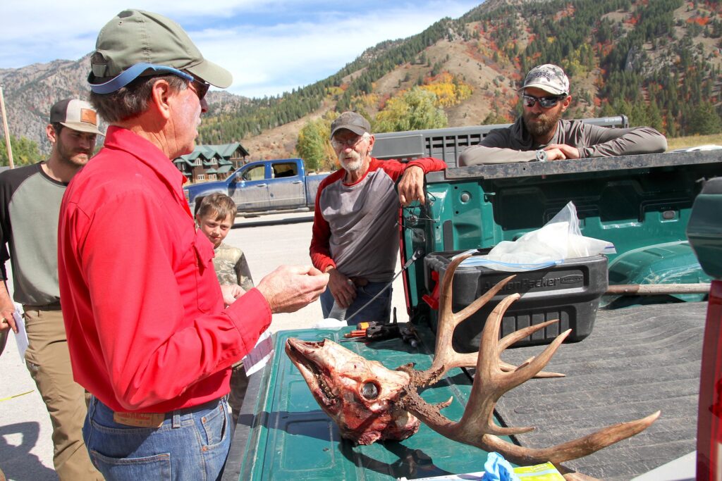 Western Wyoming's big buck country sees slowest hunt in 30 years - WyoFile